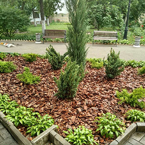 Хвойная мульча в Уфе купить - оперативная доставка по всей России
