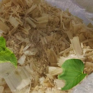 Лиственные опилки оптом в Уфе от завода-производителя Лигнум Ресурс
